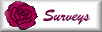 Surveys